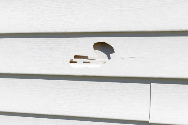 Best Demolition Debris Removal  in Creola, AL