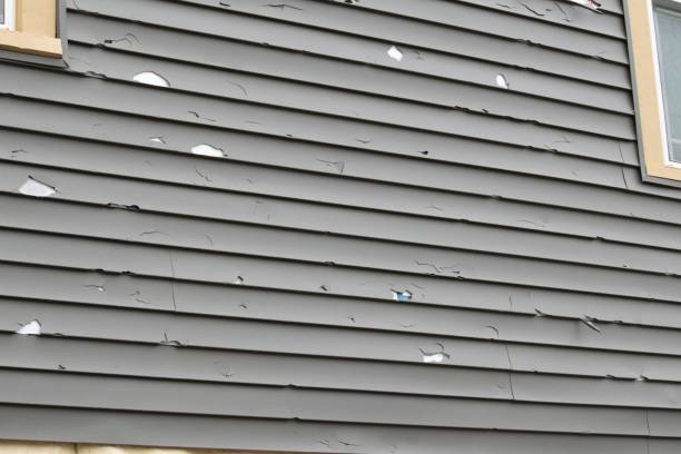 Best Recycling Services for Junk  in Creola, AL